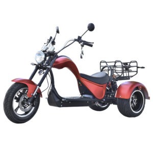 CityCoco Cobra S3 – Tres Ruedas moto electrica ciclomotor bateria NQi ‎UQi  ‎MQi  ‎MQi+ pusa puma niu ecomobility green world nuuk silence